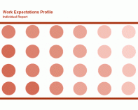 Work Expectations Profile (Online)